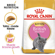 Load image into Gallery viewer, Royal Canin British Shorthair Kitten Dry Food For Cats 10kg
