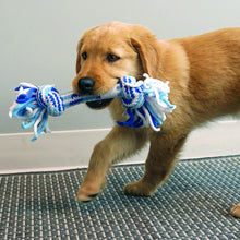 Load image into Gallery viewer, KONG Rope Ball Puppy Assorted
