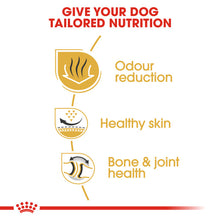 Load image into Gallery viewer, Royal Canin Dry Dog Food Specifically For Adult Bulldog - All Sizes
