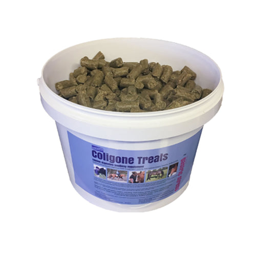 H.Bradshaws Coligone Treats For Horses 3kg 