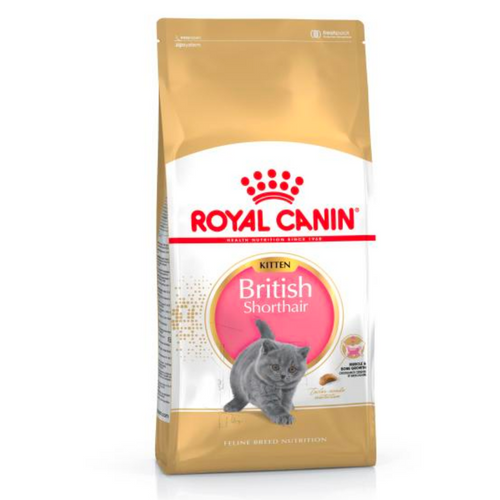 Royal Canin British Shorthair Kitten Dry Food For Cats 10kg