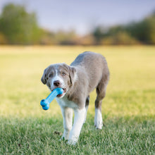 Load image into Gallery viewer, KONG Puppy Goodie Bone Small
