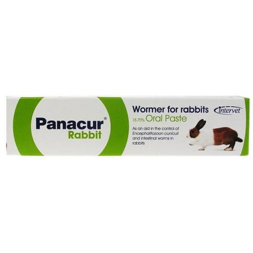 Wormer Paste Rabbits Syringe