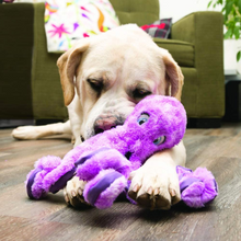 Load image into Gallery viewer, KONG SoftSeas Octopus Large
