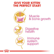 Load image into Gallery viewer, Royal Canin British Shorthair Kitten Dry Food For Cats 10kg
