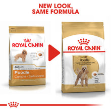 Load image into Gallery viewer, Royal Canin Dry Dog Food Specifically For Adult Poodle - All Sizes
