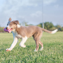 Load image into Gallery viewer, KONG Puppy Teething Stick Assorted
