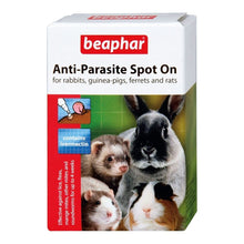 Load image into Gallery viewer, Beaphar Anti-Parasite Spot On for Rabbit and Guinea Pigs 4 Pipettes
