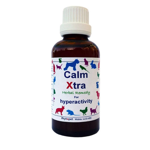 Phytopet Calm Xtra Pet Cat Dog Anxiety Stress Relief
