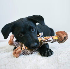 Load image into Gallery viewer, KONG Shakers Luvs Giraffe Large
