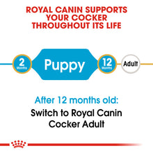 Load image into Gallery viewer, Royal Canin Dry Dog Food Specifically For Puppy Cocker 3kg

