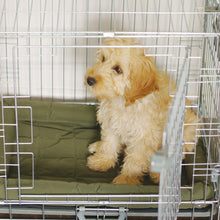 Load image into Gallery viewer, Rosewood Options Dog Cage Crate Kennel 2 Door - All Sizes

