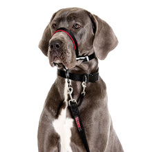 Load image into Gallery viewer, Halti Optifit Dog Headcollar
