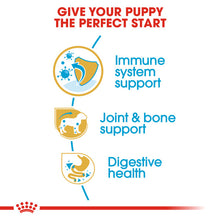Load image into Gallery viewer, Royal Canin Dry Dog Food Specifically For Puppy Dachshund 1.5kg
