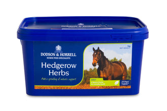 Load image into Gallery viewer, Dodson And Horrell Supplements For Horses- Various 
