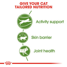 Load image into Gallery viewer, Royal Canin Outdoor Adult Dry Cat Food For Cats 4kg
