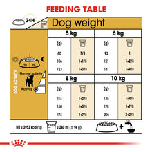 Load image into Gallery viewer, Royal Canin Dry Dog Food Specifically For Adult Jack Russell Terrier 3kg
