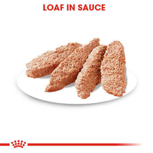Load image into Gallery viewer, Royal Canin Wet Dog Food For Dermacomfort In Dogs 12x85g
