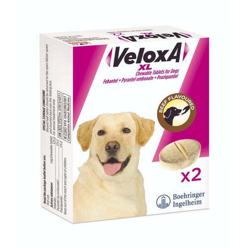 Veloxa Chewable Worming Tablets For Dogs