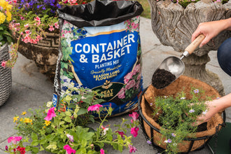 Load image into Gallery viewer, Westland Container &amp; Basket Planting Peat Free Mix 50L
