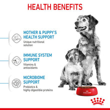 Load image into Gallery viewer, Royal Canin Dry Dog Food For Medium Starter Mother &amp; Babydog - All Sizes

