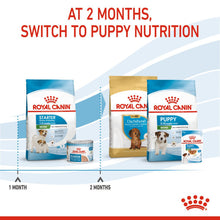 Load image into Gallery viewer, Royal Canin Dry Dog Food For Mini Starter Mother &amp; Babydog - All Sizes
