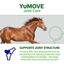 Load image into Gallery viewer, YuMOVE Joint Care PLUS for Horses 1.8kg
