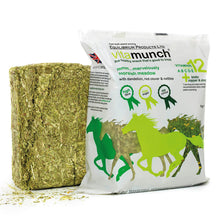 Load image into Gallery viewer, Equilibrium Vitamunch Horse Treat
