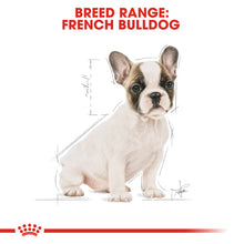 Load image into Gallery viewer, Royal Canin Dry Dog Food Specifically For Puppy French Bulldog - All Sizes
