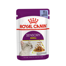 Load image into Gallery viewer, Royal Canin Wet Cat Food Pouches Sensory Designed Food 12 x 85g
