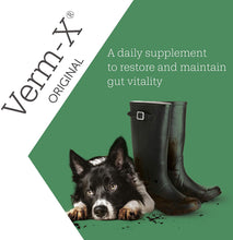 Load image into Gallery viewer, Verm-X Original Herbal Treats For Cats Or Dogs
