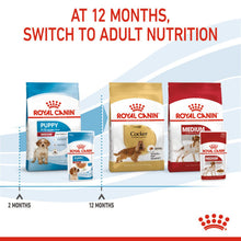 Load image into Gallery viewer, Royal Canin Nutritional Wet Dog Food For Medium Puppy 10x140g
