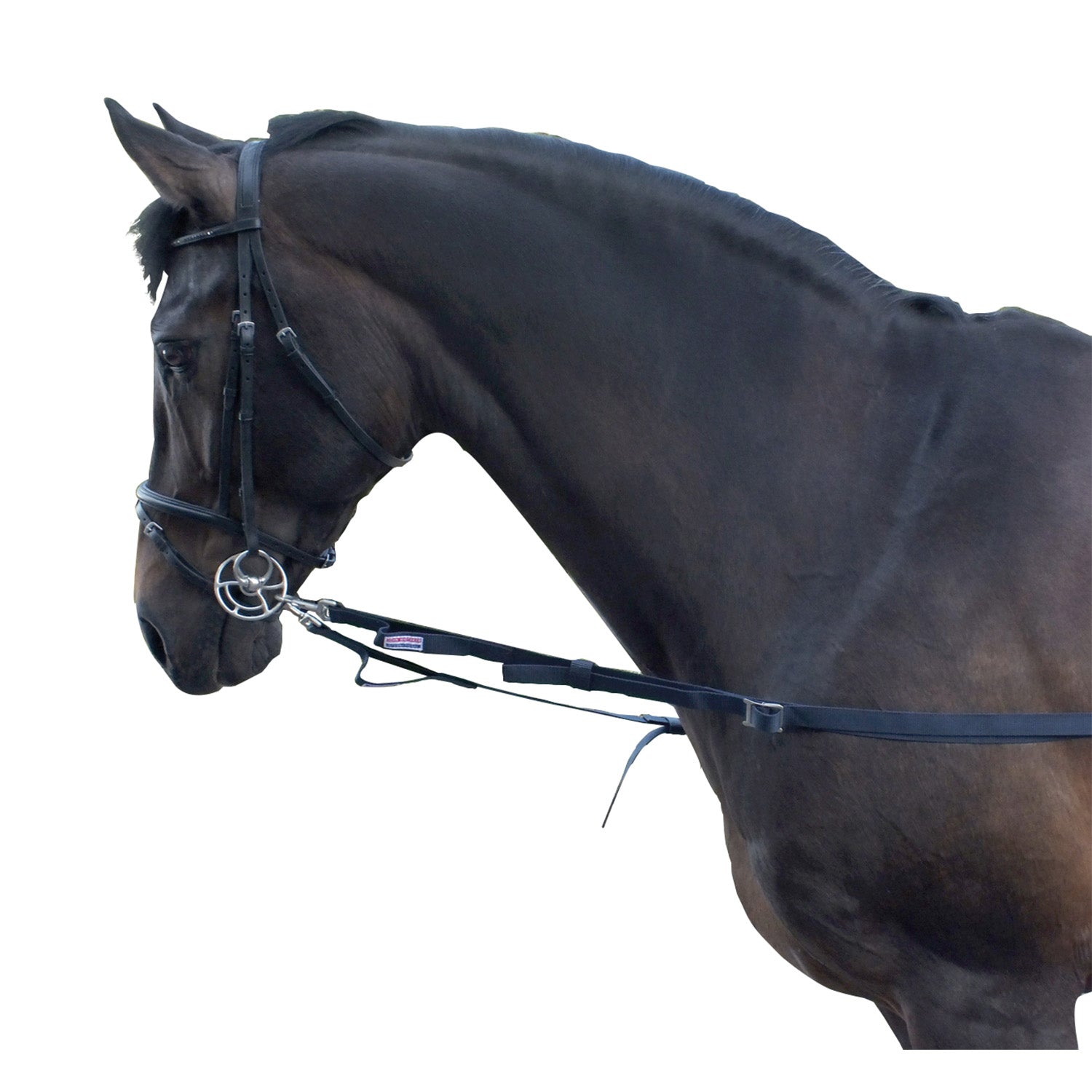 Whitaker Elasticated Side Reins For Horses Equine Navy