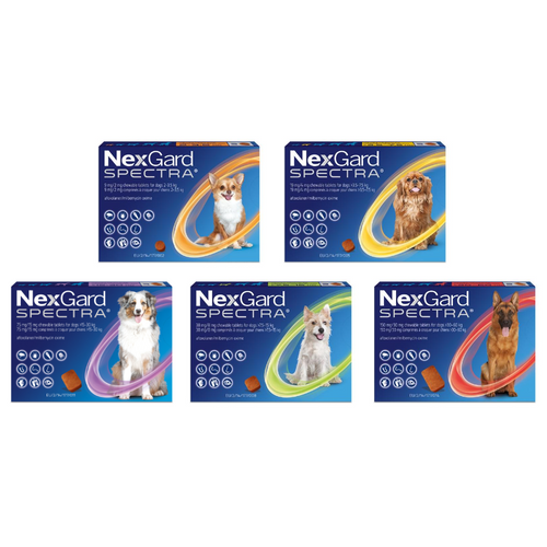 Boehringer Ingelheim Nexgard Spectra Tablets For Dogs 3 Tablets