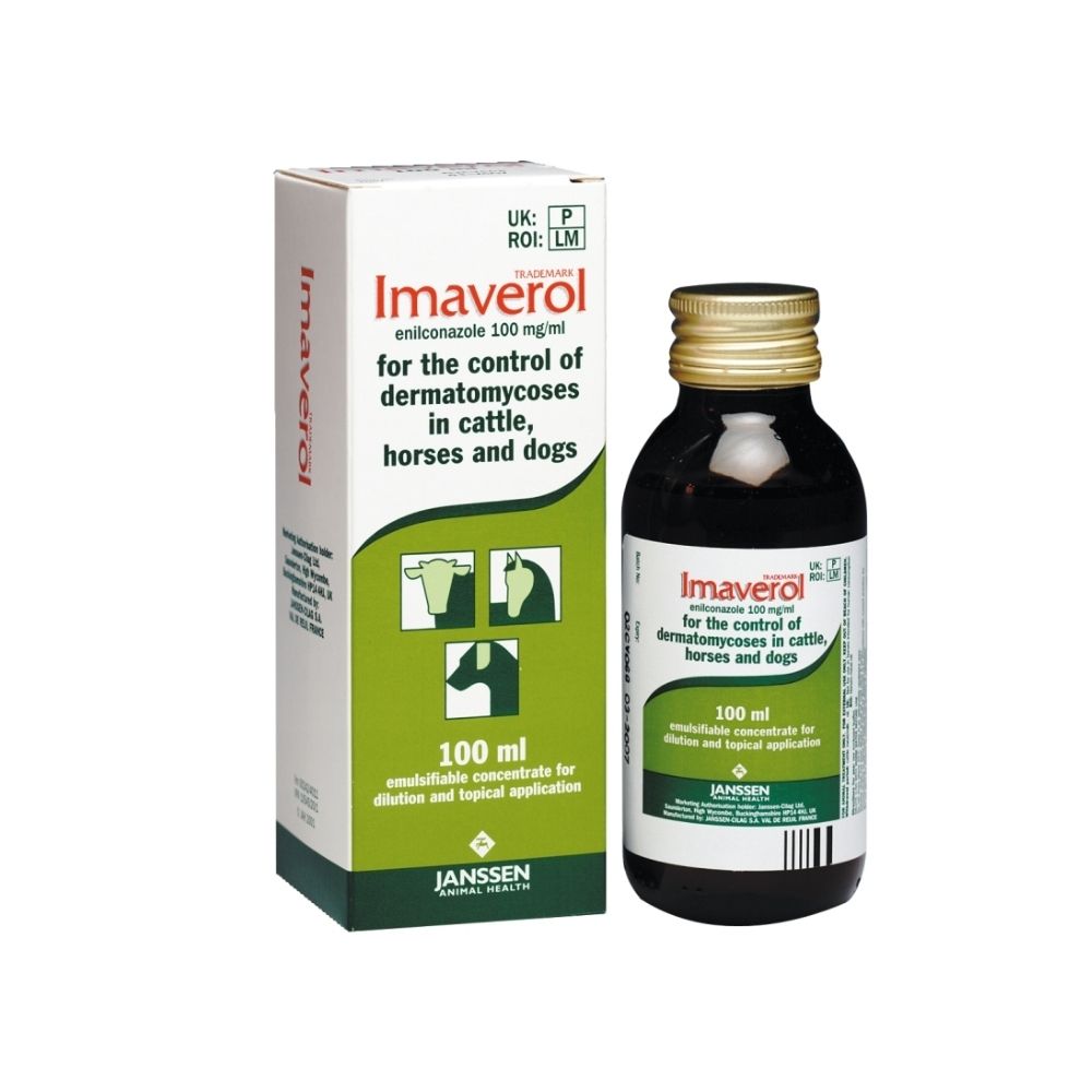 Imaverol Treatment of Dermatomycoses 100ml