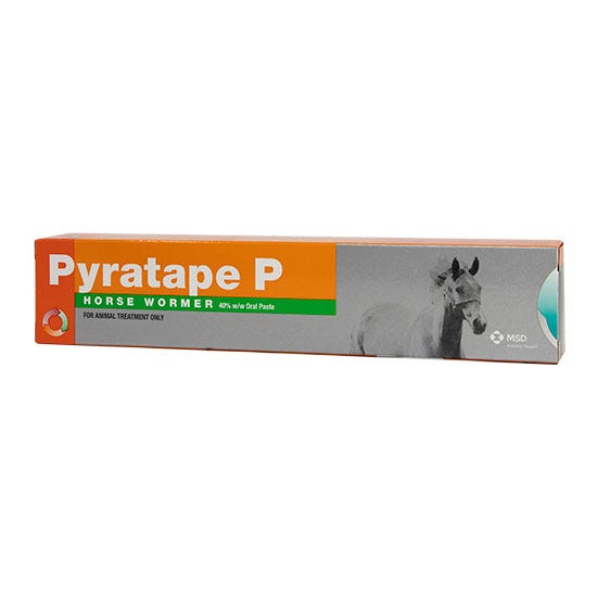 Pyratape P Syringe For Horses