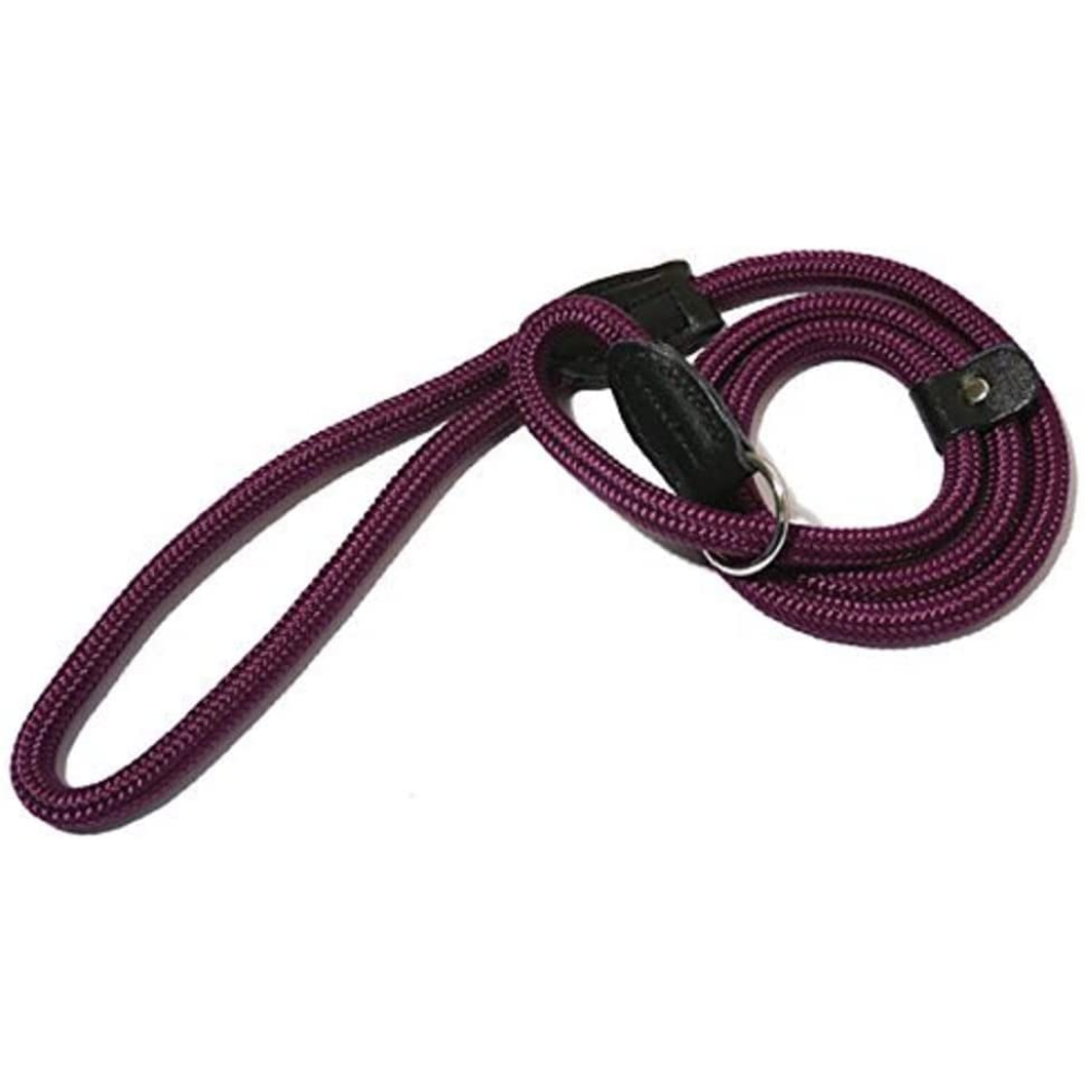 Rosewood Rope Twist Slip Lead For Walking Dogs - All Colours