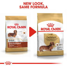 Load image into Gallery viewer, Royal Canin Dry Dog Food Specifically For Adult Dachshund - All Sizes
