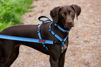 Load image into Gallery viewer, Halti Walking Harness - Various Colours
