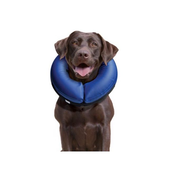 Buster Comfortable Inflatable Collar For Dogs