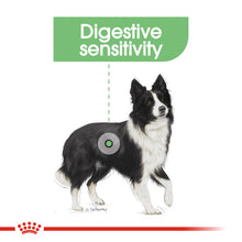 Load image into Gallery viewer, Royal Canin Dry Dog Food For Digestive Care In Medium Dogs - All Sizes
