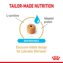 Load image into Gallery viewer, Royal Canin Dry Dog Food Ageing BHN Labrador 5+ 12kg
