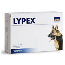 Load image into Gallery viewer, Lypex Pancreatic Enzyme Capsules for Dogs Pack of 60
