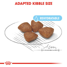 Load image into Gallery viewer, Royal Canin Dry Dog Food For Mini Starter Mother &amp; Babydog - All Sizes
