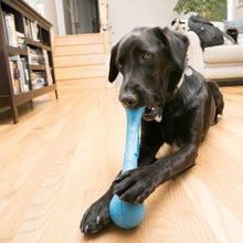 Load image into Gallery viewer, KONG SqueakStix Large

