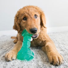 Load image into Gallery viewer, KONG Squeezz Dental Stick Medium

