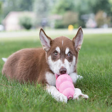 Load image into Gallery viewer, KONG Puppy Assorted
