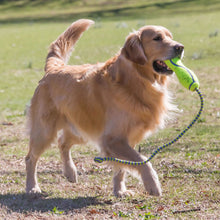 Load image into Gallery viewer, KONG AirDog Fetch Stick w/Rope
