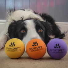 Load image into Gallery viewer, Sportspet High Bounce Dog Play Ball Fetch 3 Pack
