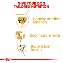 Load image into Gallery viewer, Royal Canin Dry Dog Food Specifically For Adult Rottweiler 12kg
